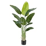 Keeplush Planta Artificial Ave del Paraíso 150 cm Planta Artificial Interior Alta con 10 Hojas, arbol Artificial Exterior Grande para Interior Casa salón Oficina dormitorios Jardín verandas (1Pack)