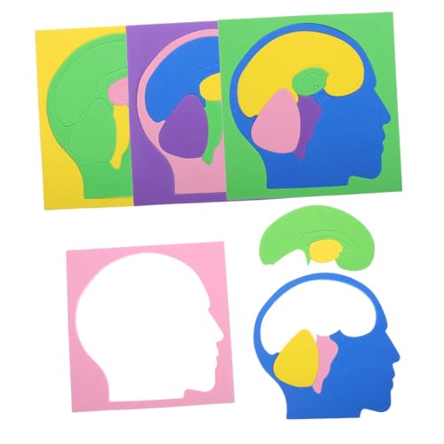 ibasenice 4 Piezas Rompecabezas Cerebral para Modelo de anatomía Juguete Rompecabezas de Modelo de Cerebro para la enseñanza Rompecabezas de la Estructura del Cerebro Eva