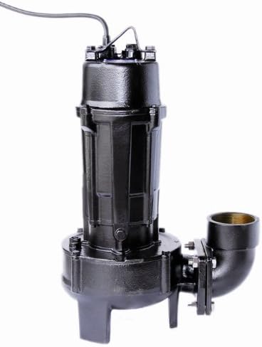 ShinMaywa 2 HP 1 Phase CVC Series Large Volume Pump