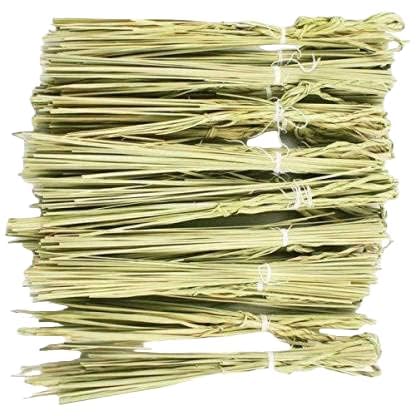 Shreephalee Megastore Sacred Kusha Grass, Darbha Grass with Pavitra Loop for Worship | (Pack of 30 Pcs) (B0D3F63SMQ) Amazon Price History, Amazon Price Tracker