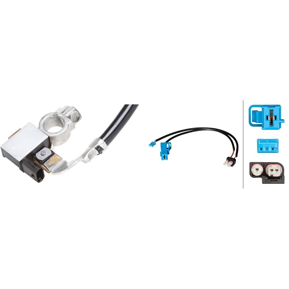 HELLA 6PK 010 562-901 Sensor, Batteriemanagement - 12V - geschraubt - Kabel: 330mm & 8KA 009 429-911 Batterieadapter