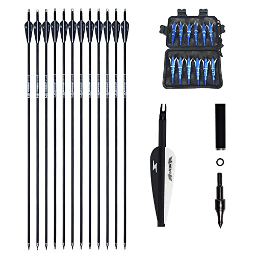 E5E10 12Pcs 31Inch Carbon Arrow For Compound & Recurve Bow And 12Pcs 100 Grain Hunting Broadheads #TOP8