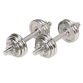 Sunny Health & Fitness 33lb Chrome Dumbbell Set w/ Carry Case – NO. 014