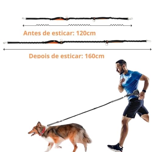 Coleira Passeio Guia Elástica para Corrida com Cão, Cinto Ajustável com Faixa Refletiva.
