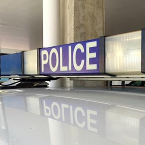 Page de couverture de Police dodge potatoes and legs of lamb in Bruce pursuit; And a windy day for Brisbane