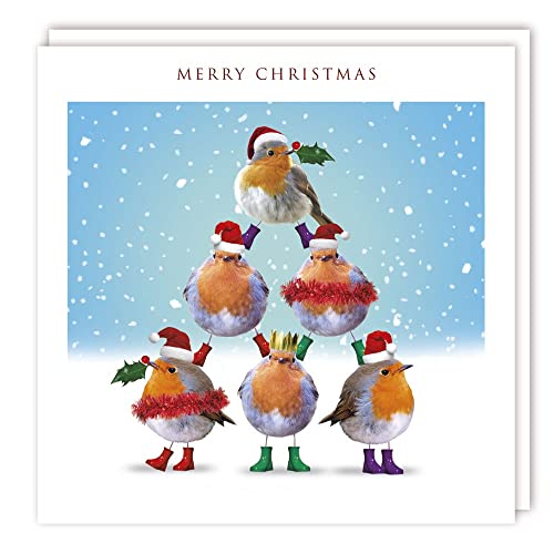 Tracks Publishing General Christmas Greeting Card - Festive Robins Tower - With A Red Foil Finish - Suitable For Him/For Her