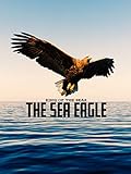 King of the Seas - The Sea Eagle