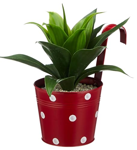 Image of Amazon Brand - Solimo Dotted Round Railing Planter for Balcony (Multicolor, Set of 5) | Dotted Railing Metal Pots for Balcony and Home Gardening, Indoor, Outdoor