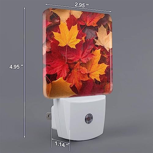 Image of Autumn Fall Leaves LED Plug-in Night Light 2-Pack, Auto Sensor Nightlights Set of 2 for Bedroom Bathroom
