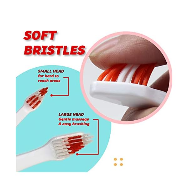 Pet Toothbrush for Dogs, Cats with Soft Bristles – Easy Teeth Cleaning & Dental Care, Non Slip Dual Head Dog Toothbrush – Choose Your Pack (Pack of 2) Pet Toothbrush for Dogs, Cats with Soft Bristles – Easy Teeth Cleaning & Dental Care, Non Slip Dual Head Dog Toothbrush – Choose Your Pack (Pack of 2)