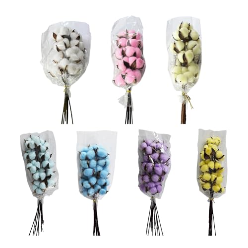 Pack de 10 Tallos de Algodón Natural Seco miniatura 4