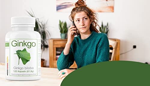 Ginkgo Tabletten Avenar Pharma Ginkgo Biloba Blattpulver 420 mg