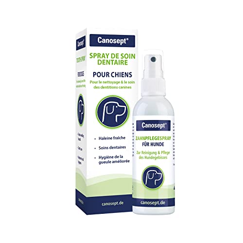 Canosept Spray de Soin Dentaire pour Chiens 100 ml - Plaque off Chien & Plaque Destructor Chien- pour le Nettoyage des Dentitions Canines - Rafraîchisseur d'Haleine pour Chiens Cover