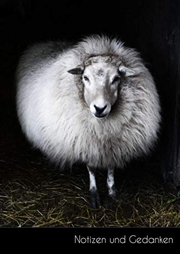 Notizen und Gedanken: Großes weißes Schaf Notizbuch | Skizzenbuch | Zeichenbuch | Malbuch DIN A4, blanko. Nachhaltig & klimaneutral.