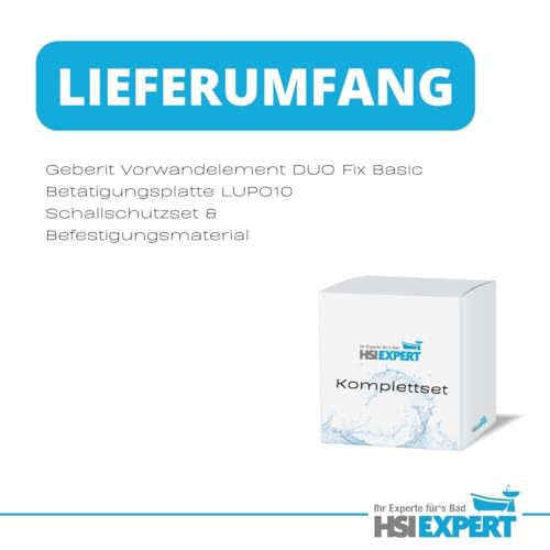 Vorwandelement WC Geberit Duofix mit Spülkasten und Drückerplatte