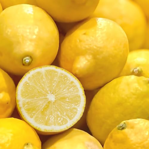 Y QY R͔| Ղ  2s 单_ _򊮑Ssgp w엿Eܕsgp m[bNX h hJrܕsgp璆̎ʏ`܂ňSĐHׂ