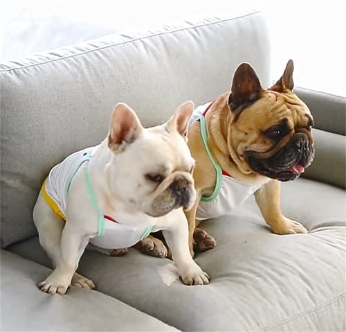 Dog Summer Clothes Puppy Cute Shirt Happy Every Day Rainbow Print Dogs Vest French Bulldog Tank Tops Frenchie Pug English Boston Terrier Pitbull (Large) #TOP7