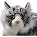 Carl Dick Katze Maine Coon grau-weiß liegend, Plüschtier, Kuscheltier ca. 30cm 3202