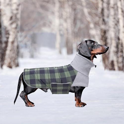 Geyecete Dackel Mantel Winter, Warmer Hunde wintermantel,wasserdichter Hundemantel mit Leinenloch,Hundepullover Hundemantel für kleine Hunde Dackel-Grün-M