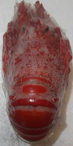 {C@uX^[@(@ہ@) @10kg@( C200 ) @𓀌セ̂܂܂オ蒸܂B