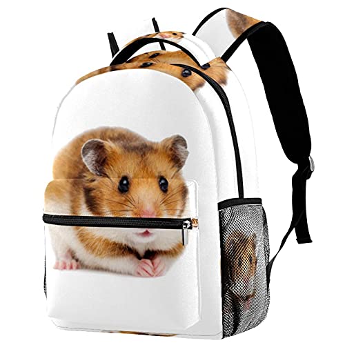 Sac à dos de voyage coloré pour le campus et les sorties loisirs