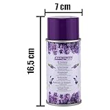 Evergreen Labs B0FLWSTVJ5 lato 3