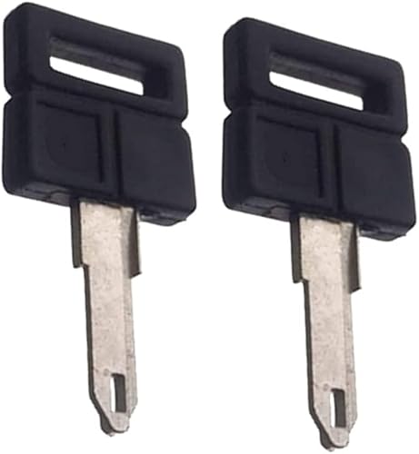 ihave - Repuesto para 2 llaves en blanco (106, 206, 305, 306, 405, C2, C3, Vivaro)