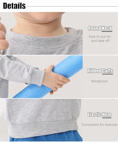 GFQLONG Toddler Boys 2 Pack Cotton Crewneck Sweatshirt, Baby Solid Long Sleeve Pullover Tops3