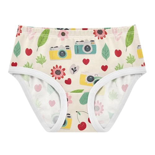 Summer Cmera Plant Flowers Floral Toddler Girls's Underwear 2T 2302216