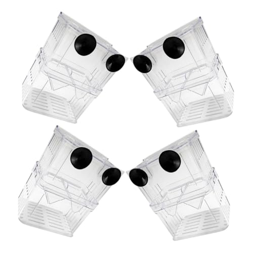 Kisangel pu dwtz یP[W pt Grcp ƒp ƖpɐBیpi 4Zbg