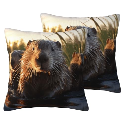 DUWAA Beaver Working Print Decorative Throw Pillow Covers Cushion Cases Set of 2, Standard Size, for Sofa Living Room Bed