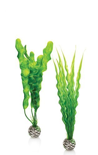 biOrb Easy Plant - 2 Pack Medium by biOrb