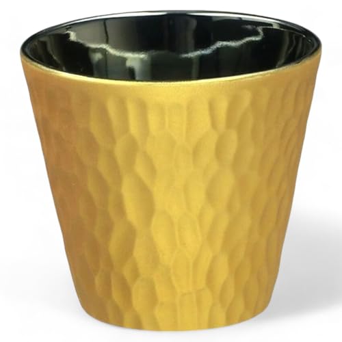 J-kitchens Cup, Lock Cup, Light Changing Gold, 10.1 fl oz (300 ml), Dishwasher Safe, Microwave Safe, Made in Japan
