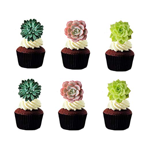 Georld 24Pcs Edible Cupcake Toppers Succulents Hawaiian Party Cake Summer Decoration,Not 3D … #TOP23