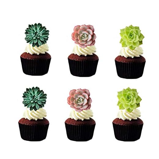 GEORLD 24pcs Edible Cupcake toppers Succulents Hawaiian Party Cake Summer Decoration,Not 3D …