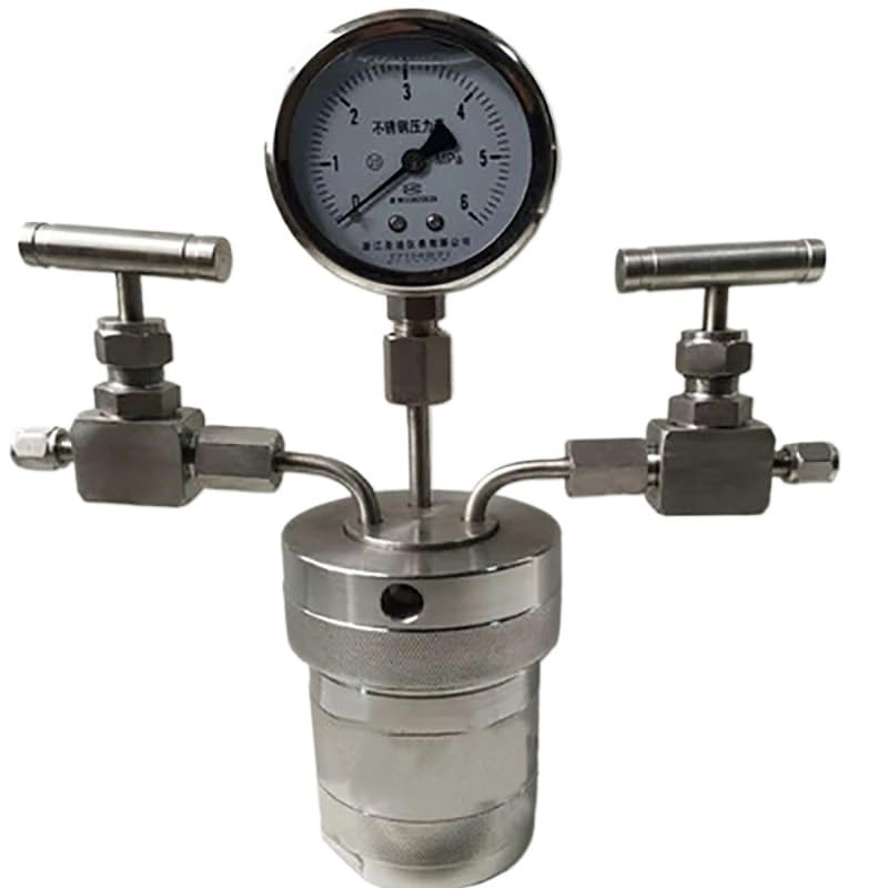 Réacteur de synthèse hydrothermale Affichage du manomètre 100-500ml, avec vannes d'entrée et de Sortie, cristallisation, hydrogénation, réacteur synthèse hydrothermique(Groen)