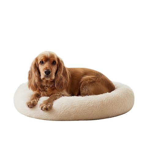 Amazon Basics Faux Fur Donut Pet Bed | Medium (70x70x15 cm) | Color - Beige | Reversible, Washable, Cozy Mat for Cats & Dogs