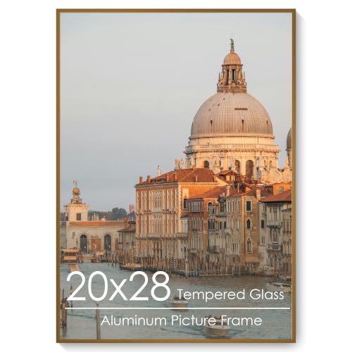 20x28 Metal Picture Frame, Aluminum Poster Frame with Real Glass, Bronze