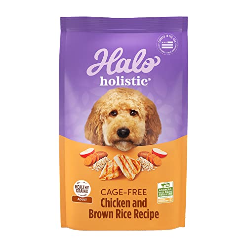 Halo Holistic Dog Food Cage Free Chicken & Brown Rice Formula Healthy Grains Dry Dog Food Complete Digestive Health Kibble for Adult Dogs 3.5 lb Bag