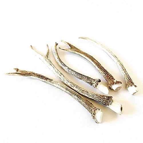 ̊p o ~jTCYiQO?SOZ`̎̊pj5{Zbg