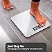 Greater Goods Digital AccuCheck Bathroom Scale for Body Weight, Capacity up to 400 lbs, Designed in St Louis, Ash Grey