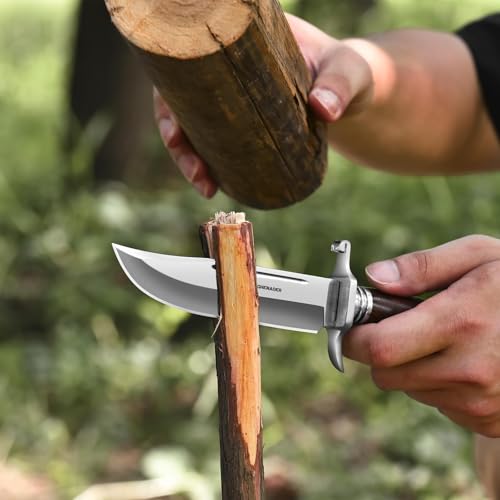 Bowie Knife, 10.5 Inch Hunting Knife with Sheath, Outdoor Survival Bushcraft Fixed Blade Knife, Comfortable African Rosewood Handle, Incl. Black Gift Box