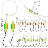Dovesun Pompano Rigs for Surf Fishing Unique T-Knot Strong Pre-Rigged Pompano Rigs Surf Fishing Rigs Saltwater Bullet Float(2colors)*2/0 Hook*10PCS