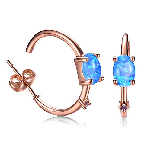 Preisvergleich Produktbild LNLJ Blau / Weiß Opalbolzenohrringe - Einfacher Kreis-Zyklus, Verliebte, Ältere, Freunde, Sich Selbst Und Andere,D