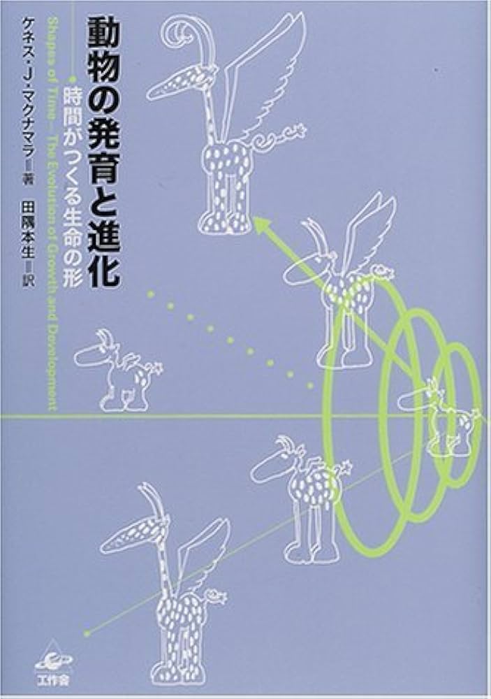 Formenzeichnen - 教育における形の感覚の発展 教えない授業――美術館発、「正解のない問い」に挑む力の育て方