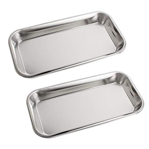 2 Pack Medical Stainless Steel Instrument Tray Lab Instrument Dental Tool by Vinmax