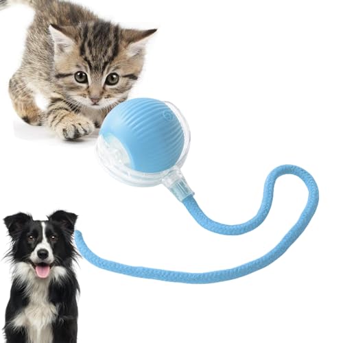 Loongroad Jouet interactif pour chat et chien, jouet électrique à balle intelligente, trois modes réglables avec fonction de réveil pour chiens et chats de petite et moyenne taille