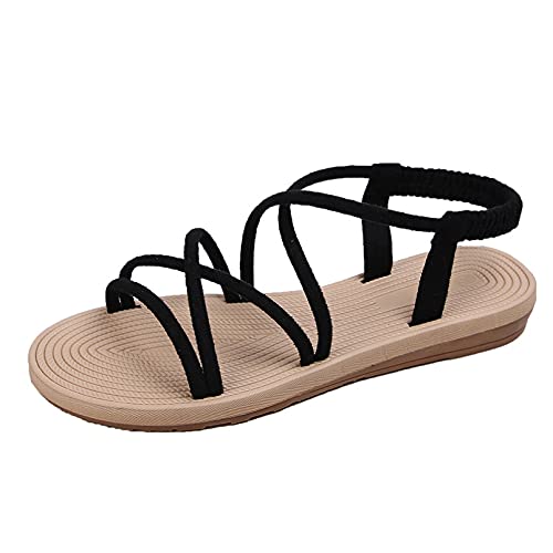 [SEJUC] T_ fB[X tbgq[ Xgbv obNxg NXXgbv XG[h JWA IV OfBG[^[T_ ₷ ɂȂ p[eB[ ItBX ][g ubN 傫TCY o 26.0cm