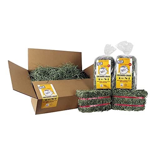 Heno Premium para Roedores en Caja Suelta 20lb miniatura 4