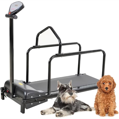 DPQYJPP Cinta de Correr para Perros, Cinta Correr Mascotas, Cinta Correr Perros Interior, Ejercicio para Perros pequeños y medianos, Equipo Fitness Mascotas con Pantalla visualización